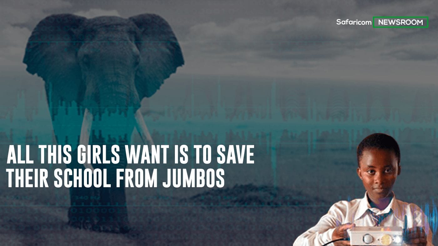 Girls who want to save their school from jumbos
