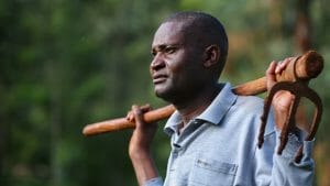 The digital farmer