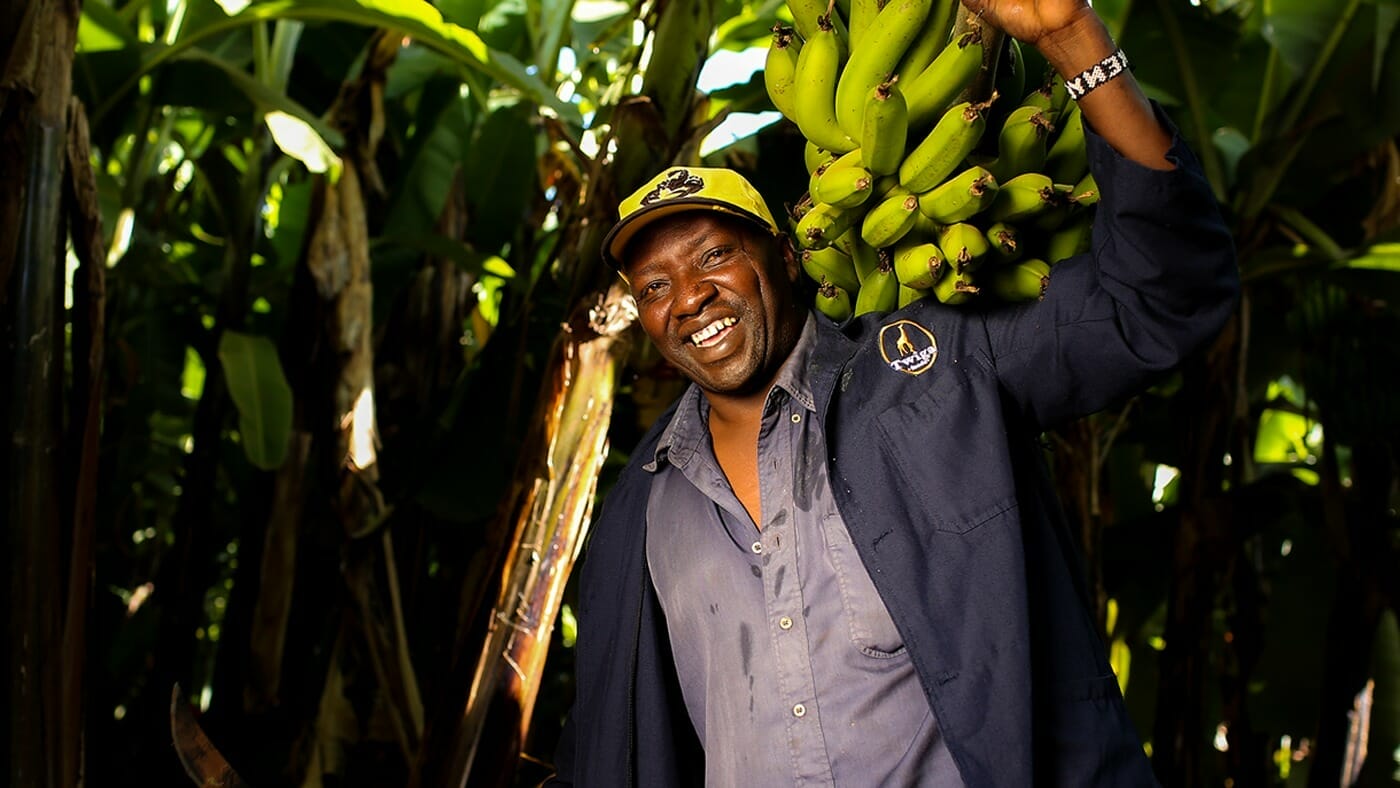 From Nkubu with love (and lots of bananas)