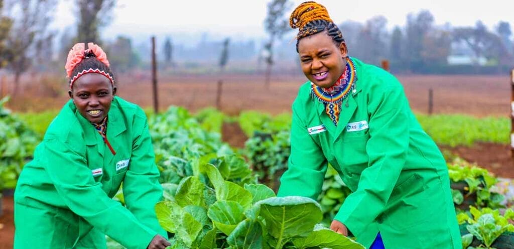 Transforming lives: Wezesha Agri empowering farmers through training, solar technology and agribusiness